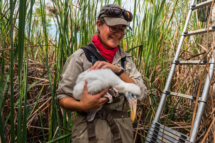 Conservation Research Heads to Washington  