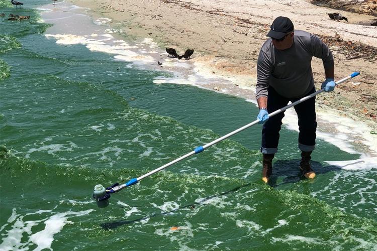 What’s ‘Fueling’ Harmful Algae in Lake Okeechobee